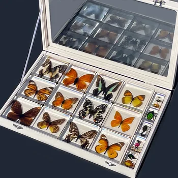 Образцы бабочек из прозрачной смолы для защиты окружающей среды, запечатанные маленькие украшения для обучения, подарки для детей, украшение стола